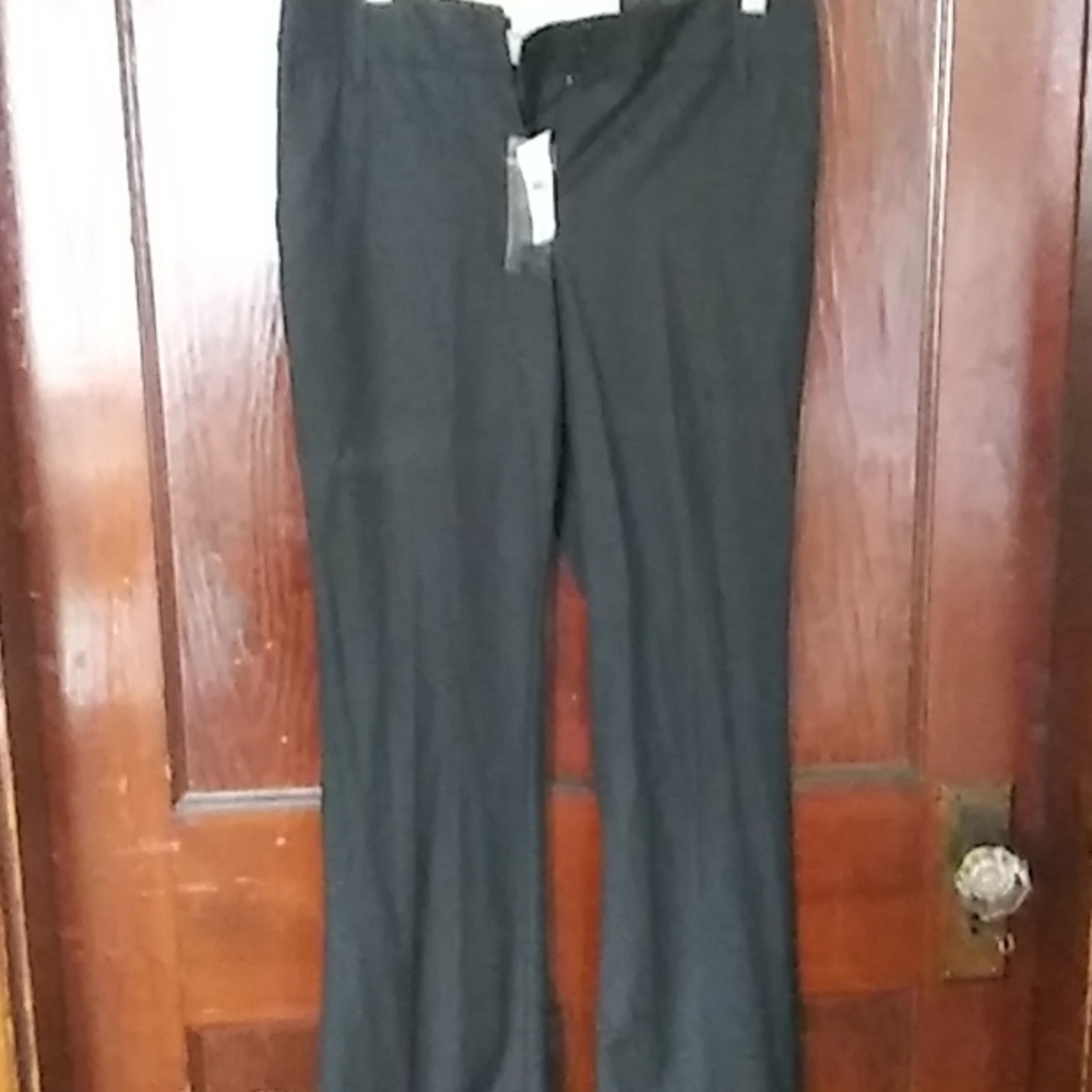 Ann Taylor Loft women's pantsNWT
